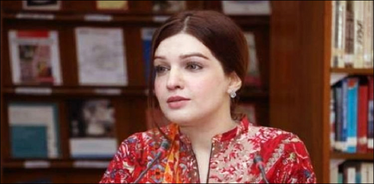جی 20 اجلاس، مشعال ملک کا اسلام آباد کے عوام سے سڑکوں پر نکلنے کی اپیل