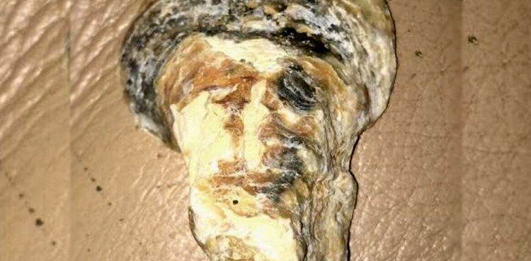 اسامہ بن لادن