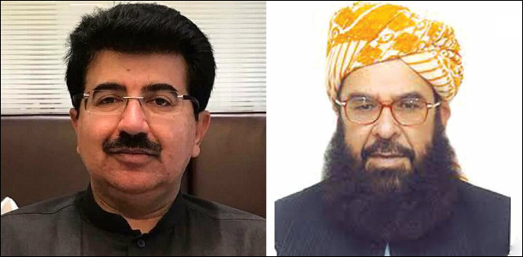 حکومتی مذاکراتی کمیٹی کا جے یو آئی (ف) سے پہلا باضابطہ رابطہ