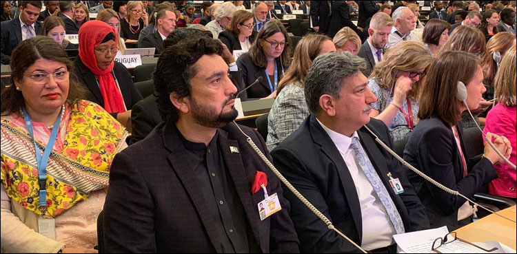 پاکستان نے عالمی تنازعات کے حل کے لیے بھرپور کردار ادا کیا: شہریار آفریدی
