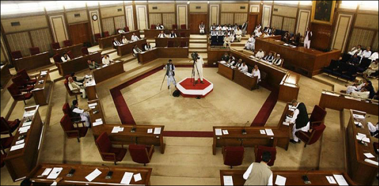 بلوچستان اسمبلی کا اجلاس : مبینہ غیر قانونی بھرتیوں کیخلاف اپوزیشن کا علامتی واک آوٹ