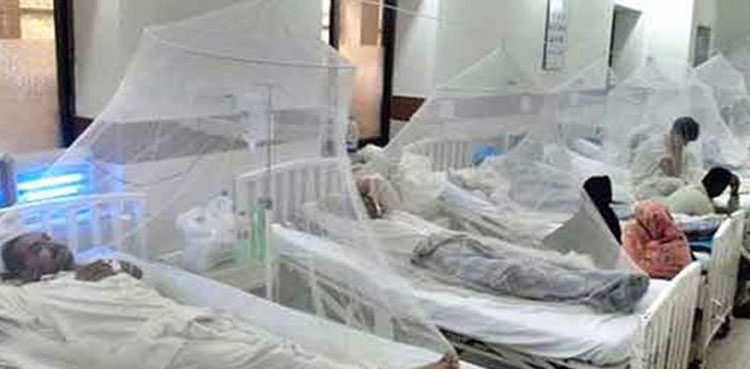 بلوچستان میں رواں سال رپورٹ ہونے والے ڈینگی کیسز کی تعداد 2823 تک پہنچ گئی