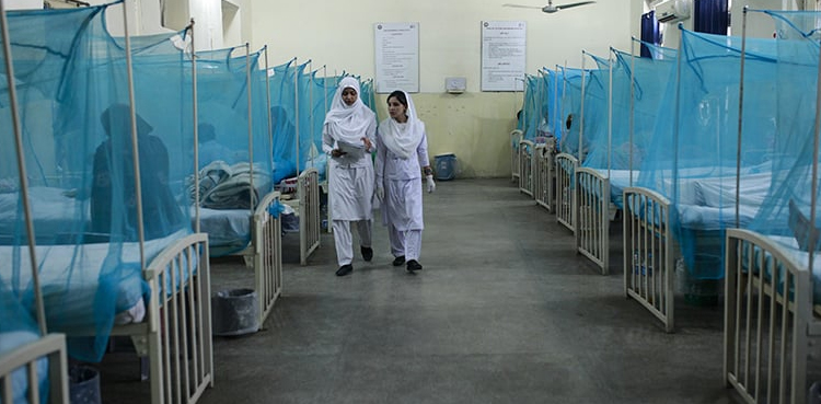 سندھ اور پنجاب میں  ڈینگی کیسز میں  اضافہ