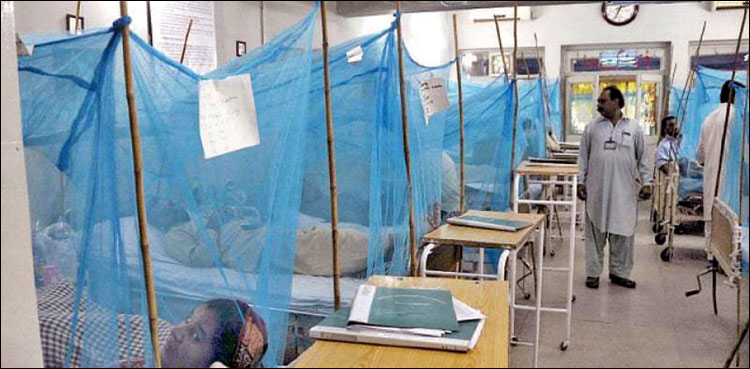 ڈینگی وائرس سے کراچی میں ایک اور خاتون جاں بحق