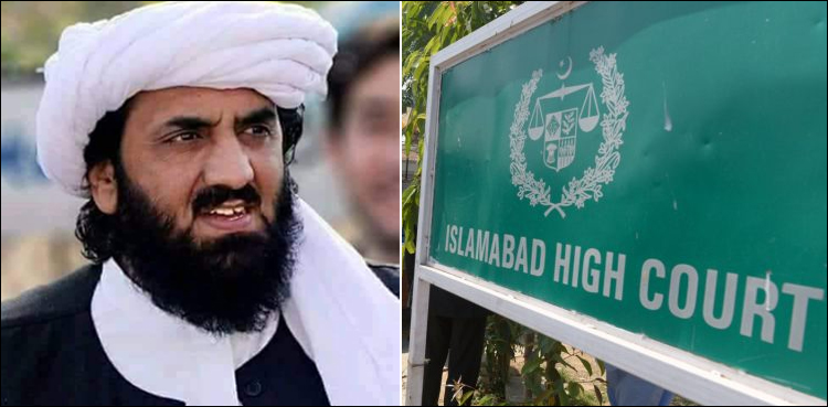 اسلام آباد ہائی کورٹ نے سنیٹر حافظ حمد اللہ کی شہریت منسوخی کا حکم معطل کردیا