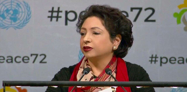 اقوام متحدہ ایل او سی پر بلا اشتعال بھارتی فائرنگ کا نوٹس لے: ملیحہ لودھی