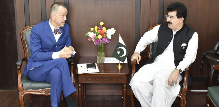 چیئرمین سینیٹ سے جرمن سفیر کی ملاقات، دوطرفہ اقتصادی روابط بڑھانے پر زور