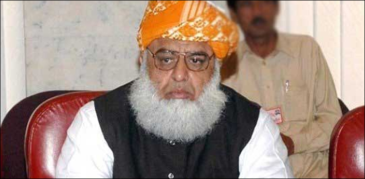 نئے انتخابات سے ہی ملک بچ سکتا ہے، مولانا فضل الرحمان