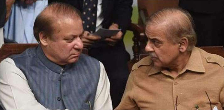 میں قید نہ ہوتا تو مولانا کے ساتھ ٹرک پرکھڑا ہوتا، نواز شریف کا چھوٹے بھائی کو خط