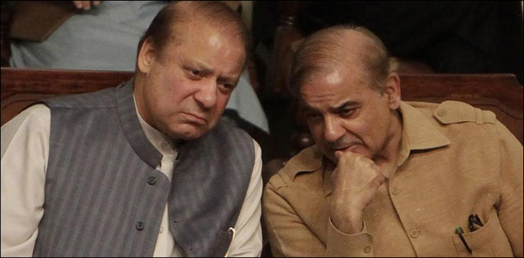 نواز شہباز ملاقات ، مولانا فضل الرحمان کے مارچ میں  شمولیت کا فیصلہ آج متوقع