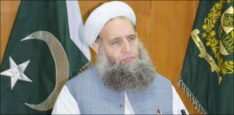 حکومت کو کوئی گھبراہٹ نہیں، اسلام آباد پرسکون ہے، نورالحق قادری