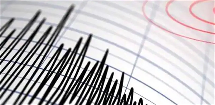 سوات اور گردونواح میں 4.4 شدت کا زلزلہ