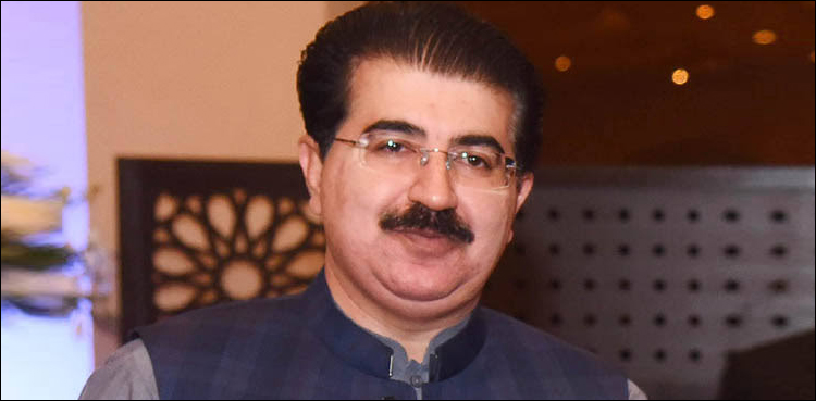 سوشل میڈیا اکاؤنٹ کے حوالے سے چیئرمین سینیٹ کا اہم بیان