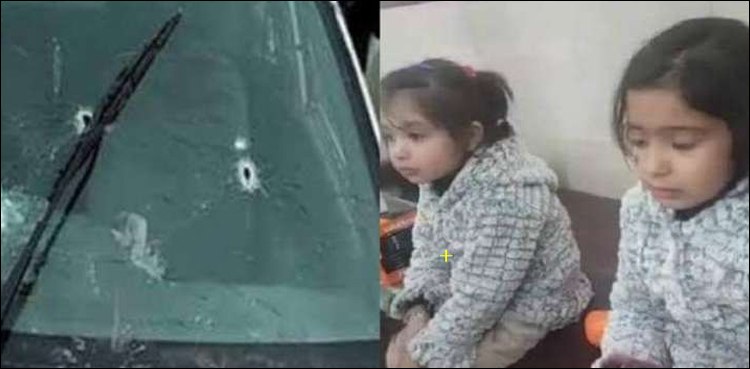 سانحہ ساہیوال کے ملزمان کی بریت کے خلاف  اپیل دائر