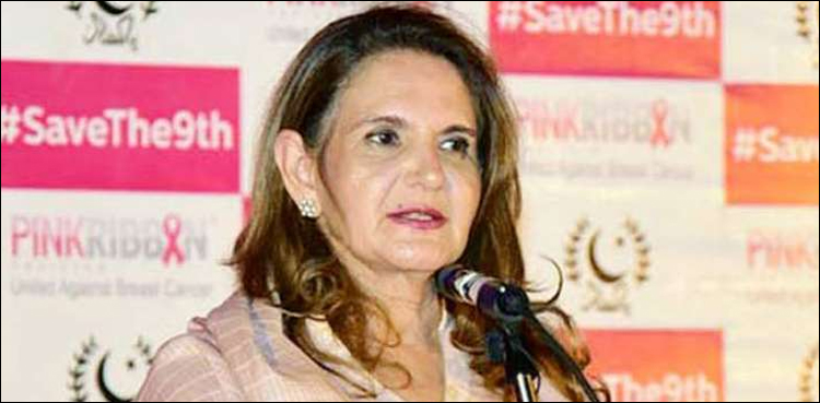 بریسٹ کینسر کا علاج دنیا میں موجود ہے تاخیر نہیں کرنی چاہیے، خاتون اول  ثمینہ علوی