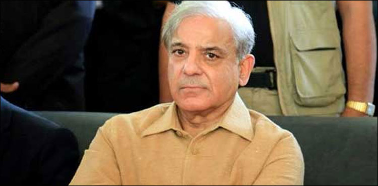 ‘شہباز شریف مارچ کے آخر تک وطن واپس آجائیں گے’