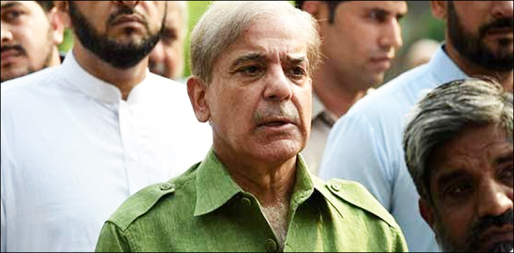 شہباز شریف کا مولانا کی حمایت کا اعلان، قوم سے معیشت ٹھیک کرنے کا پھر سے وعدہ