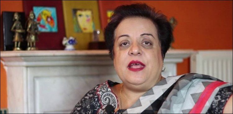 بھارتی فورسز پیلٹ گنز سے کشمیری نوجوانوں کو نابینا کر رہی ہیں، شیریں مزاری