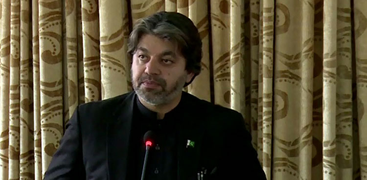 علی محمد خان نے رانا ثنااللہ کی بات کی نفی کردی