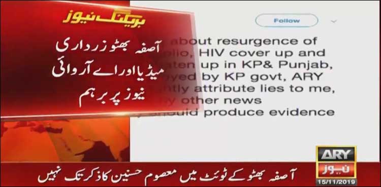 آئینہ ان کو دکھایا تو برا مان گئے، آصفہ بھٹو کو غصہ کیوں آیا؟