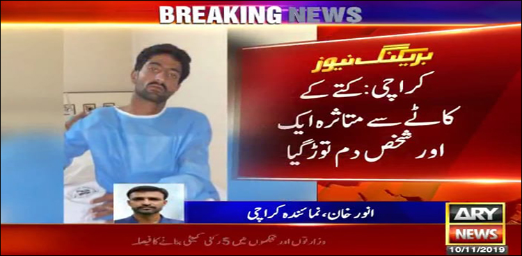 پاگل کتے کے کاٹنے سے نوجوان جاں بحق
