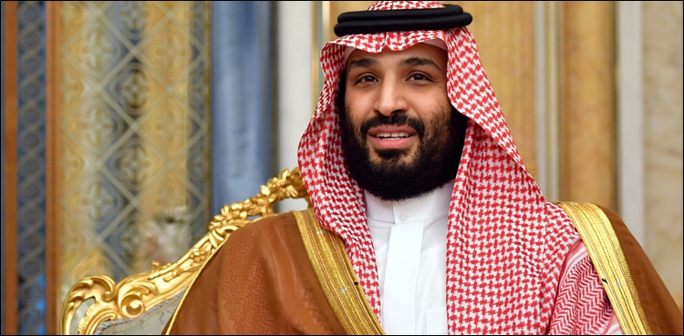 کیا محمد بن سلمان کو وزیر اعظم بننے کے بعد خاشقجی مقدمے میں استثنیٰ حاصل ہو گیا؟