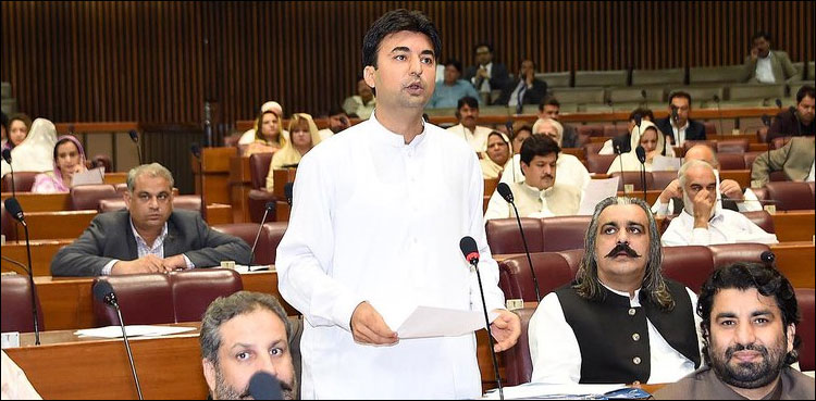 35 سال میں اپنے لیے ایک اسپتال نہ بنا سکے تو غریب کا کیا حال ہوگا: مراد سعید