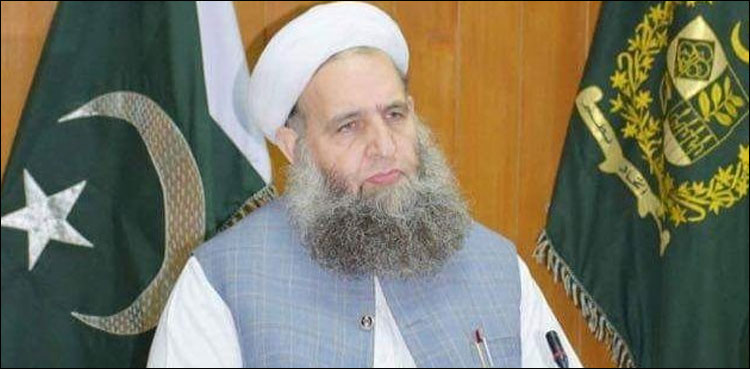 پاکستان کو ریاست مدینہ بنانے میں وزیراعظم عمران خان کا ساتھ دیا جائے، نور الحق قادری
