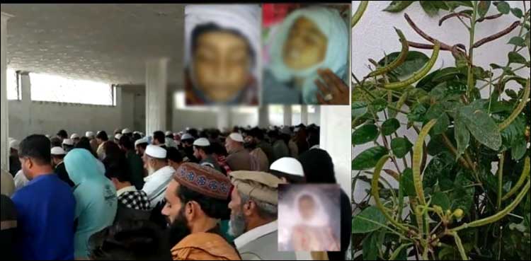 زہریلی بوٹی کھانے سے 4 بچے جاں بحق