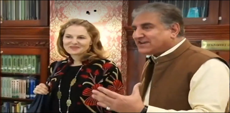 وزیر خارجہ شاہ محمود قریشی سے اردن کی شہزادی کی ملاقات