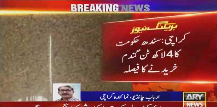 سندھ حکومت کا 4لاکھ ٹن گندم خریدنے کا فیصلہ