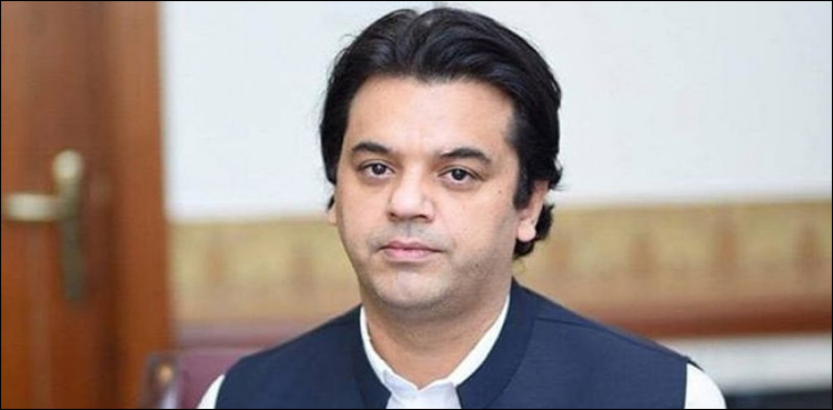 مفرور اور اشتہاری لوگ پاکستانی قوم کے لیے شرمندگی کا باعث بن رہے ہیں: عثمان ڈار