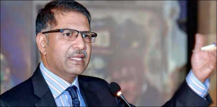 مریم نواز کو باہر جانے کے لئے عدالت سے رجوع کرنا ہوگا ، بیرسٹرعلی ظفر