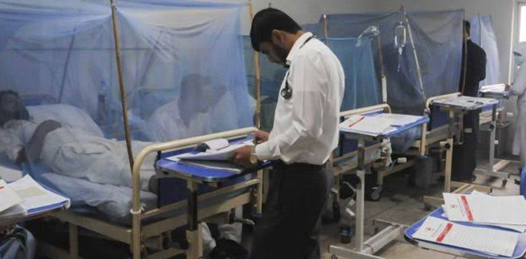 24گھنٹے میں ڈینگی کے 151نئے کیسز سامنے آگئے
