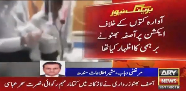 لاڑکانہ میں کمسن بچے پر 7 کتوں کا حملہ، منہ کھا گئے