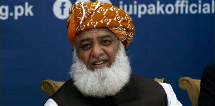 پی پی قیادت ابھی میچور نہیں کہ سیاست دانوں والے پروٹوکول فالو کر سکے: مولانا فضل الرحمان