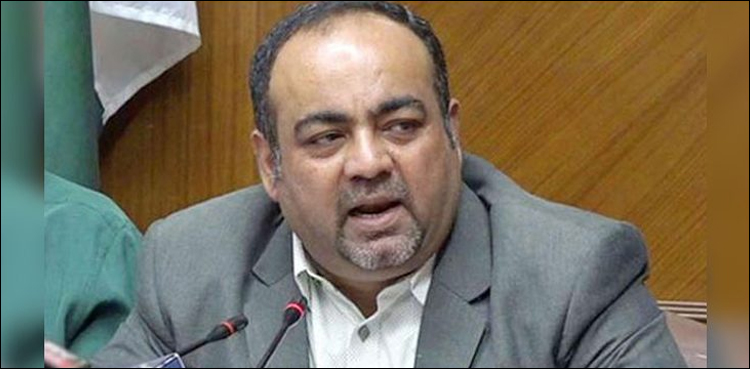ایم کیو ایم نے وزارت چھوڑی ہے، حکومت نہیں، خواجہ اظہار الحسن
