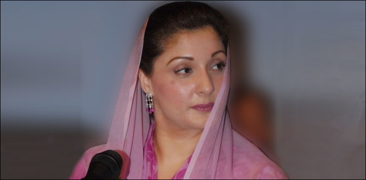 مریم نواز کا پاسپورٹ اور7 کروڑ کی رقم ہائی کورٹ میں جمع