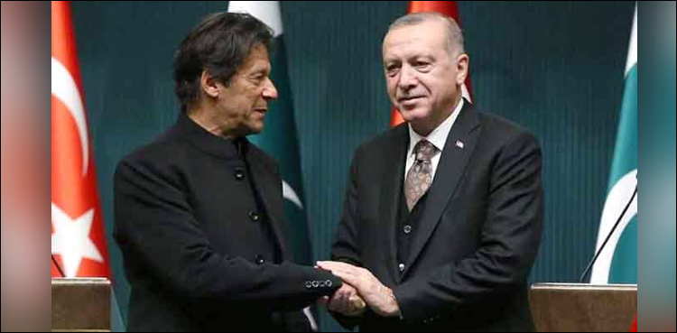 کارکے کمپنی کو جرمانے کی ادائیگی کا مسئلہ حل کرلیا، وزیراعظم عمران خان