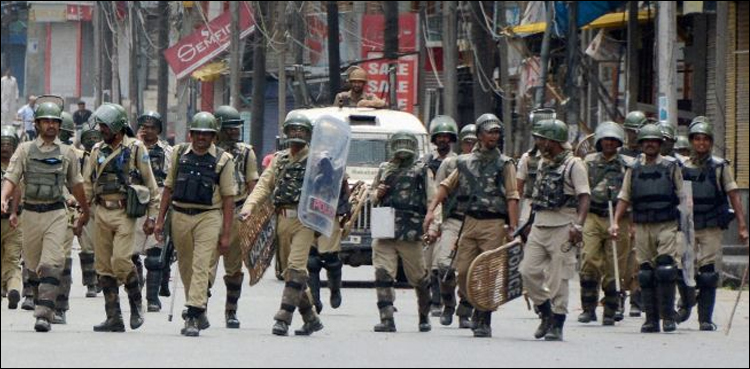 سال 2019 میں بھارتی فورسز نے 210 کشمیریوں کو شہید کیا