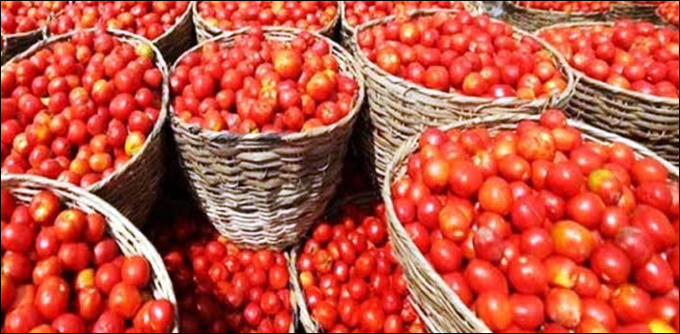 کراچی: ایران کے ٹماٹر سے لدے 13 کنٹینر سبزی منڈی پہنچ گئے