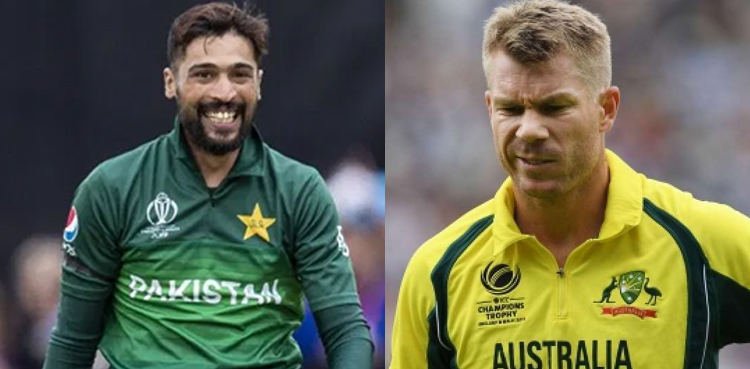 محمد عامر ڈیوڈ وارنر کے لیے خطرہ بن گئے