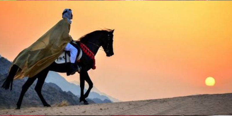 دنیا کا بے وقوف انسان کون؟
