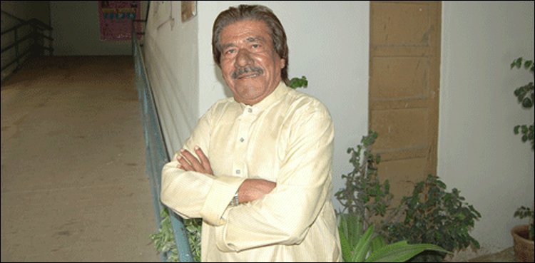 آخری چٹان میں ’جوجی‘ کا تاریخی کردار ادا کرنے والے وکیل فاروقی انتقال کر گئے