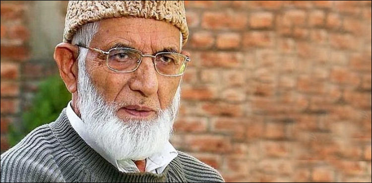 آج کی جدوجہد اور مزاحمت کل آزادی لائے گی: علی گیلانی