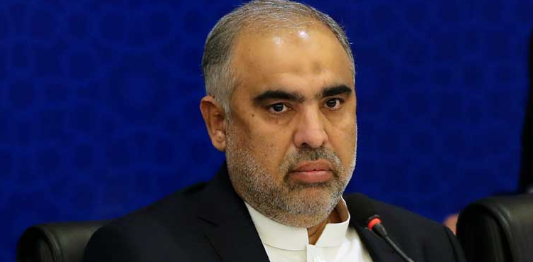 محسن نقوی نے امن وامان اور کرکٹ کا بیڑہ غرق کردیا: اسد قیصر