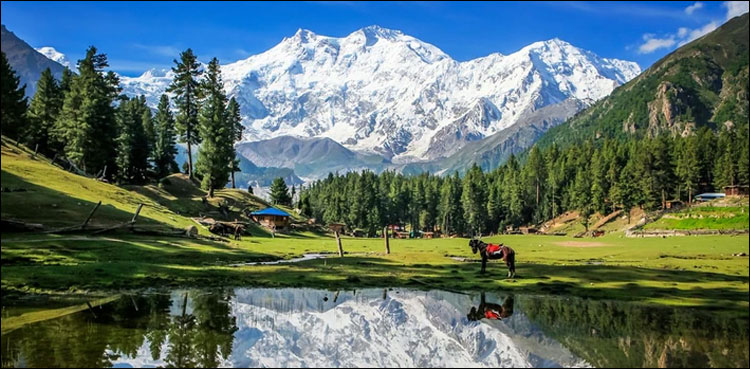 اپنی طرف بلاتے، لبھاتے، فلک بوس پہاڑوں کا عالمی دن