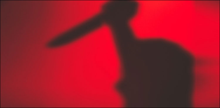 بدبخت بیٹے نے ماں کی بیماری سے تنگ آکر اسے قتل کردیا