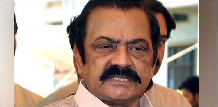 لاہور ہائی کورٹ نے رانا ثنا اللہ کو رہا کرنے کا حکم دے دیا