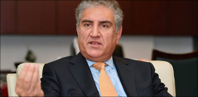 بھارتی مسلمانوں کی زندگیوں کو شدید خطرات لاحق ہیں، وزیرخارجہ
